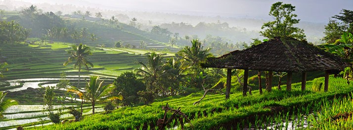 1081/Four On Drupadi - Seminyak 18.jpg